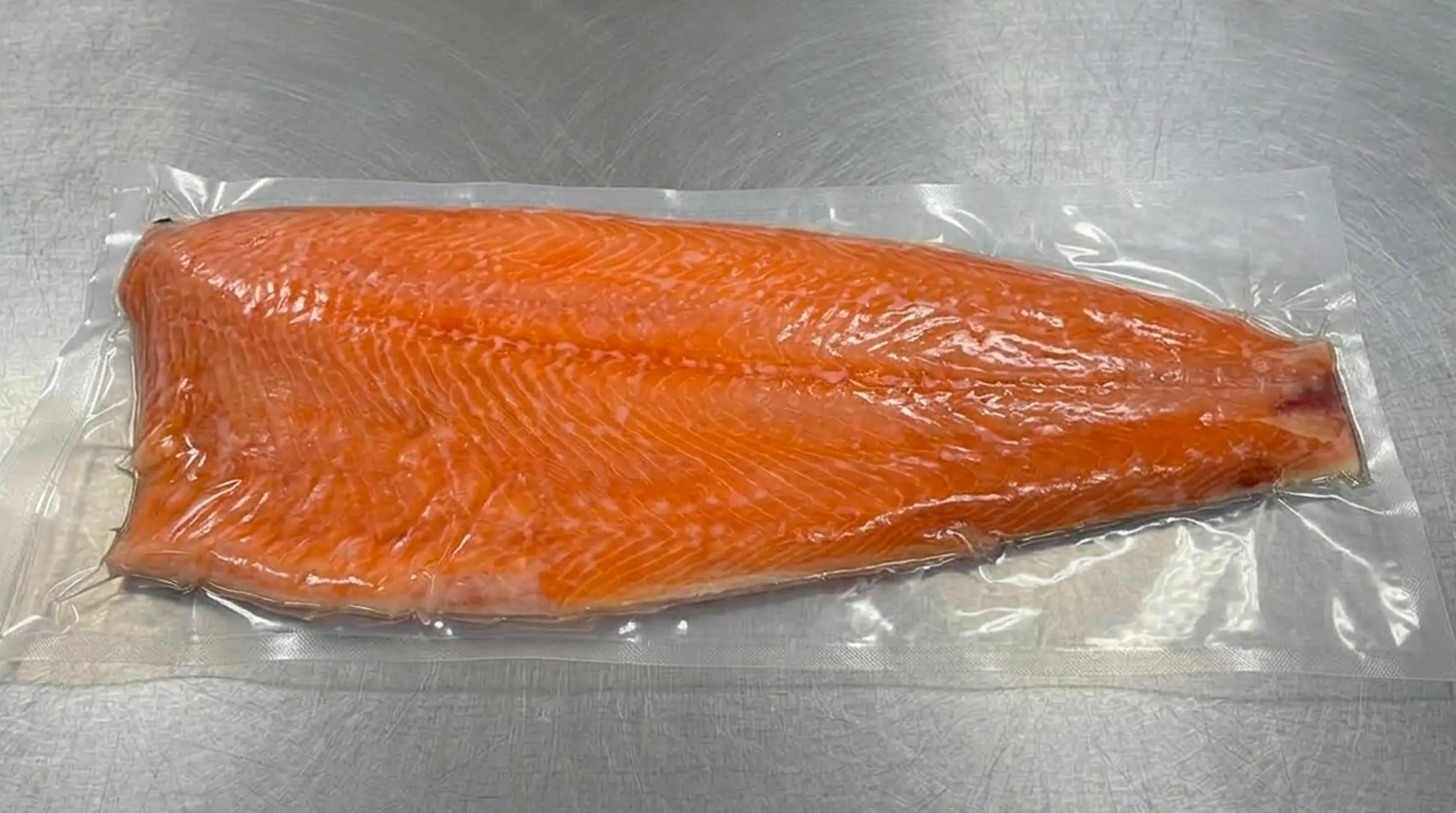 Salmon Fillet