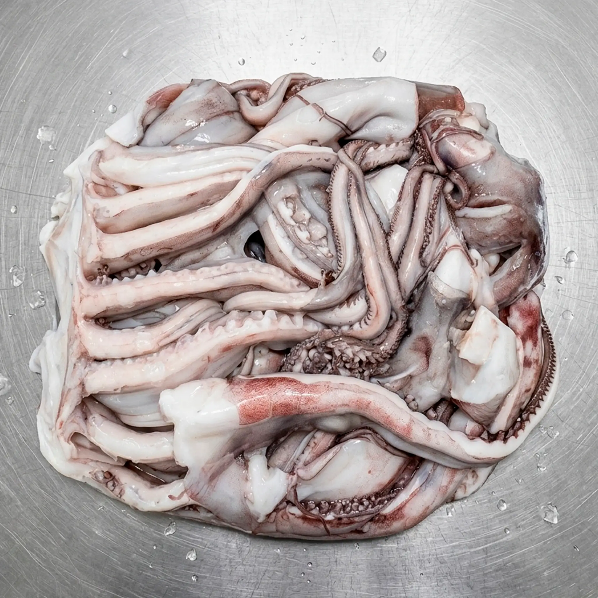 Giant Squid Tentacles